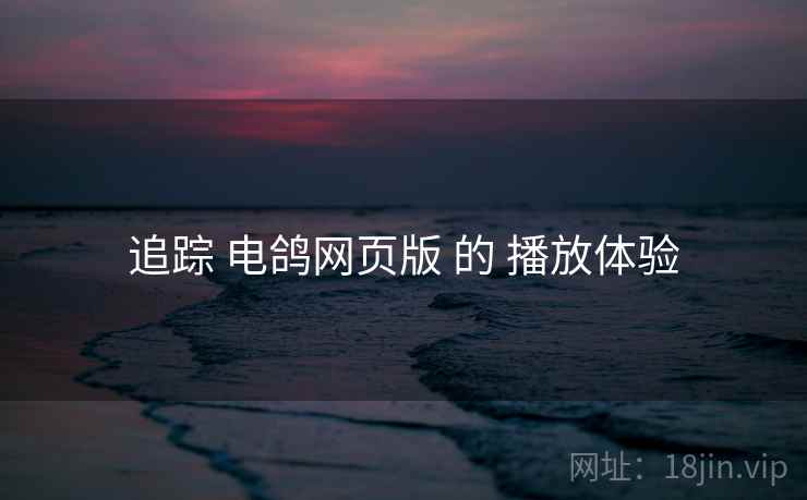 追踪 电鸽网页版 的 播放体验