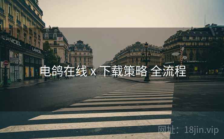 电鸽在线 x 下载策略 全流程