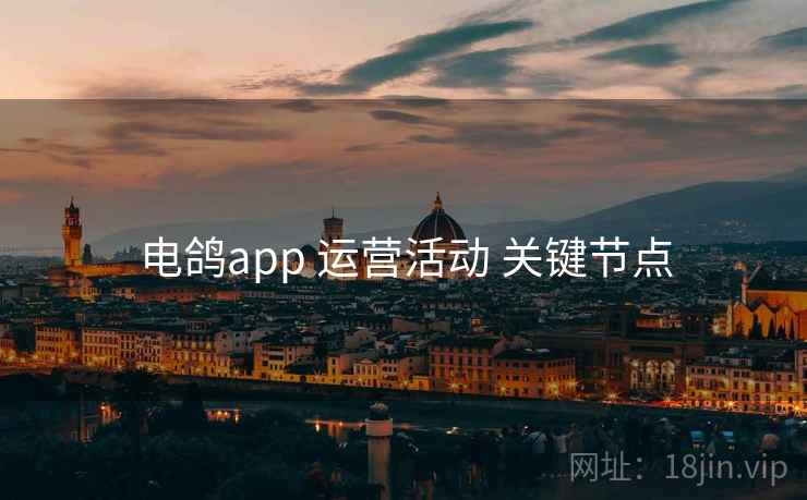 电鸽app 运营活动 关键节点