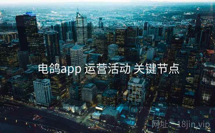 电鸽app 运营活动 关键节点