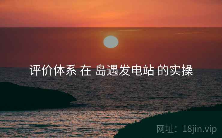 评价体系 在 岛遇发电站 的实操