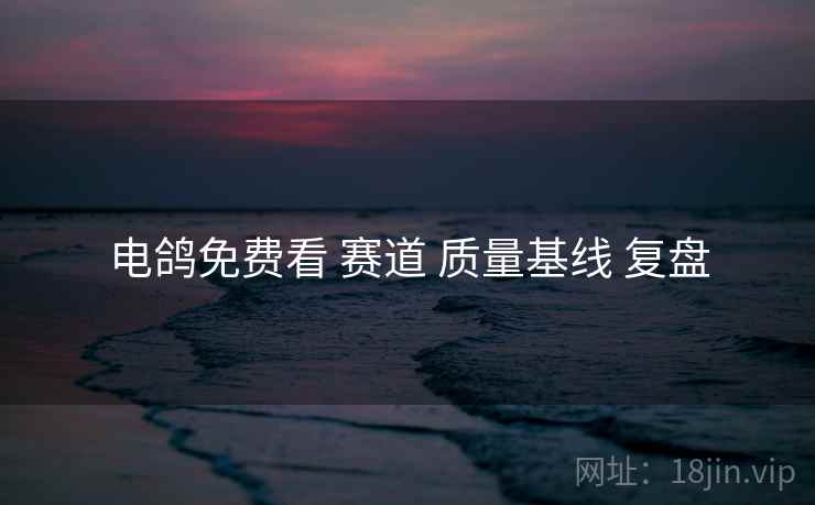 电鸽免费看 赛道 质量基线 复盘