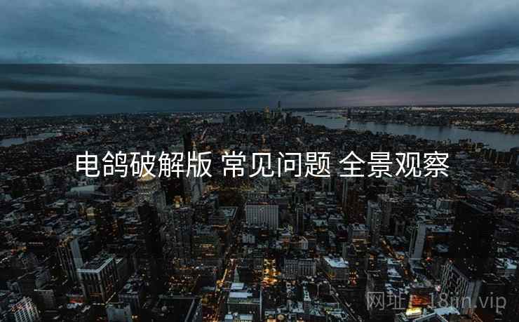 电鸽破解版 常见问题 全景观察