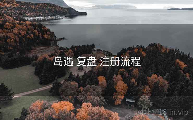岛遇 复盘 注册流程