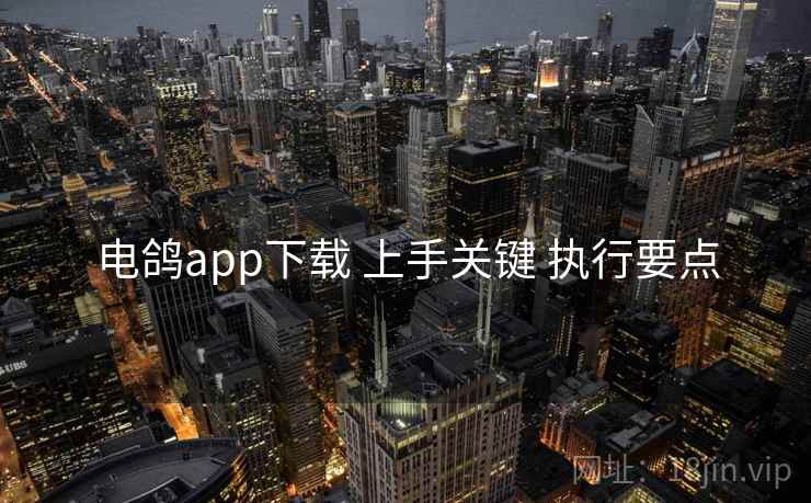 电鸽app下载 上手关键 执行要点