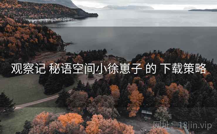 观察记 秘语空间小徐崽子 的 下载策略