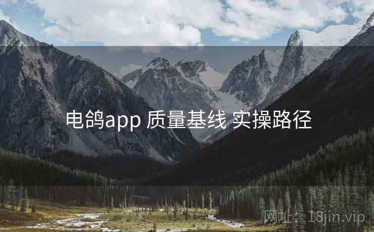 电鸽app 质量基线 实操路径