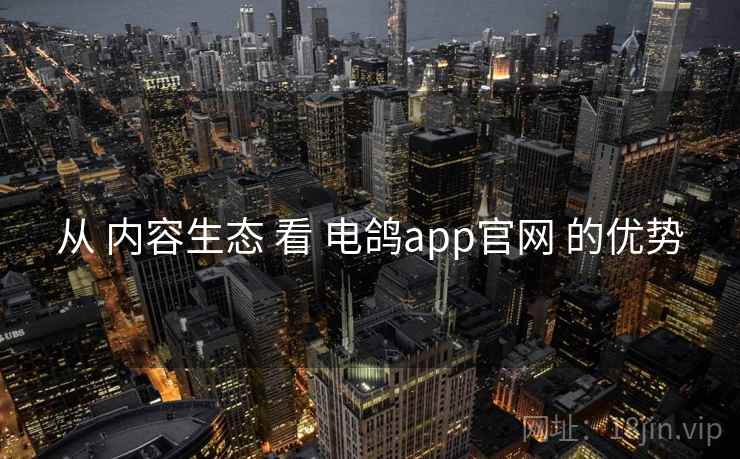 从 内容生态 看 电鸽app官网 的优势