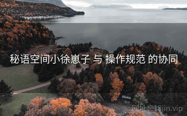 秘语空间小徐崽子 与 操作规范 的协同
