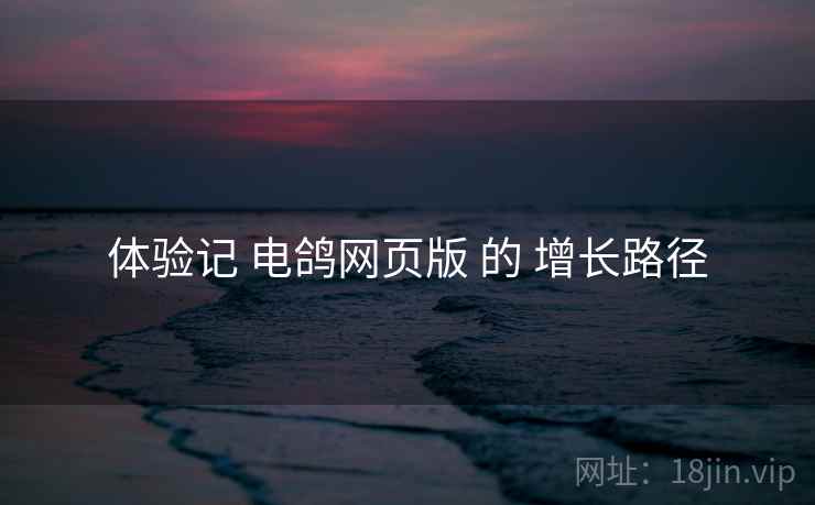 体验记 电鸽网页版 的 增长路径