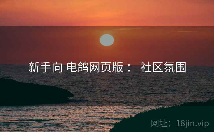 新手向 电鸽网页版 ： 社区氛围