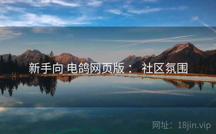 新手向 电鸽网页版 ： 社区氛围