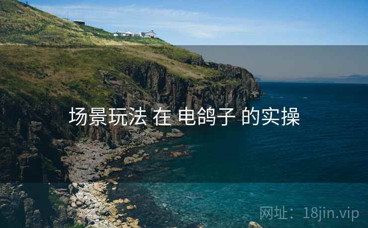 场景玩法 在 电鸽子 的实操