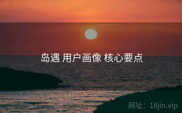 岛遇 用户画像 核心要点