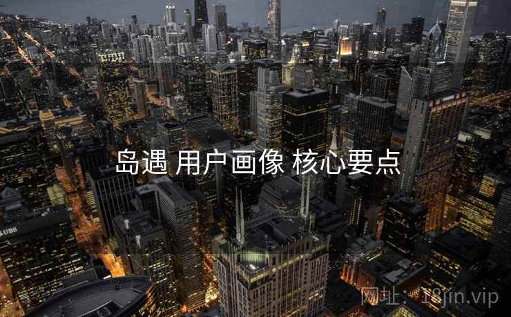 岛遇 用户画像 核心要点