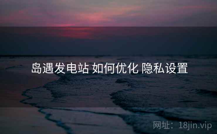 岛遇发电站 如何优化 隐私设置