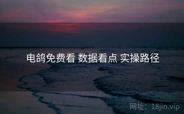 电鸽免费看 数据看点 实操路径