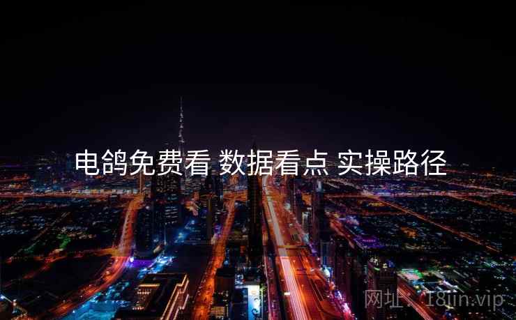 电鸽免费看 数据看点 实操路径