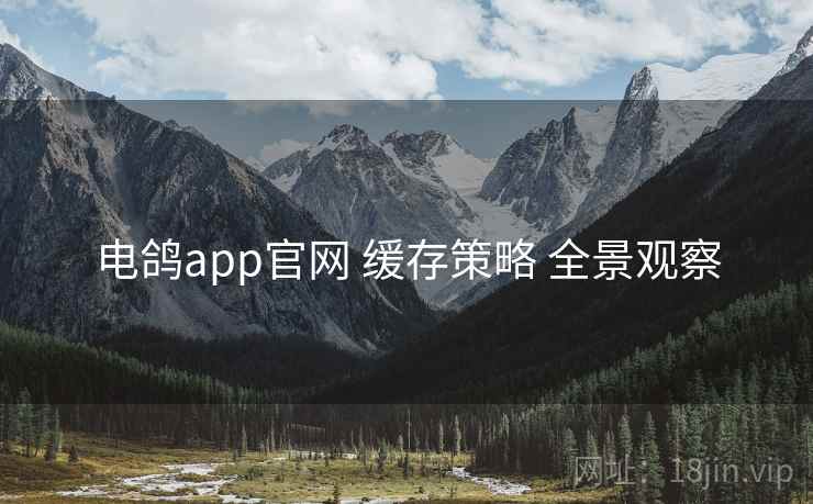 电鸽app官网 缓存策略 全景观察