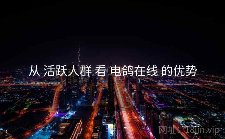 从 活跃人群 看 电鸽在线 的优势