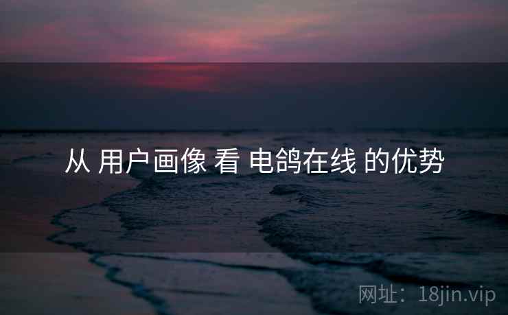 从 用户画像 看 电鸽在线 的优势