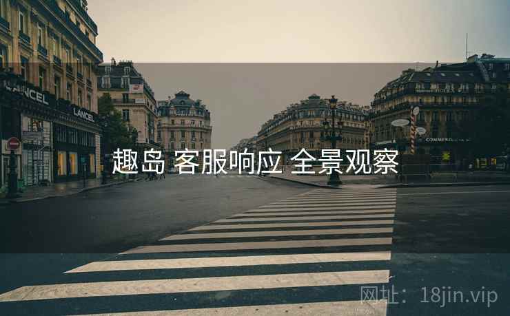 趣岛 客服响应 全景观察