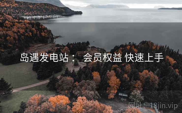 岛遇发电站 ： 会员权益 快速上手